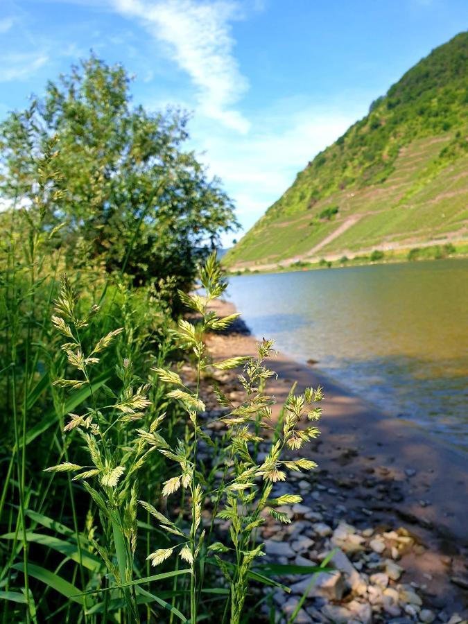 Ferienwohnung Ambiente II Und III Klotten Esterno foto