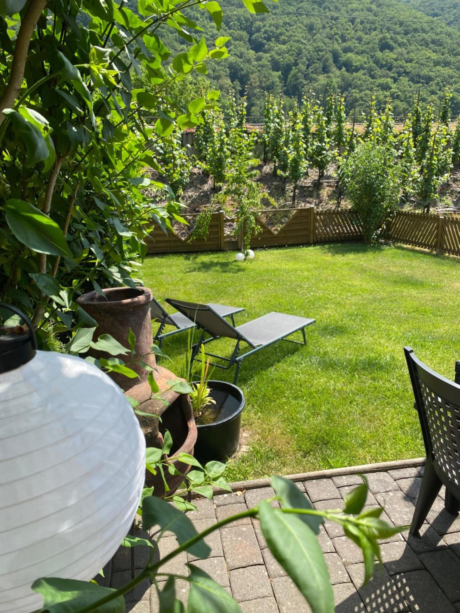 Ferienwohnung Ambiente II Und III Klotten Esterno foto