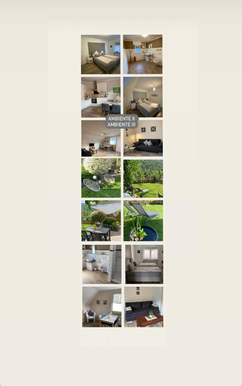 Ferienwohnung Ambiente II Und III Klotten Esterno foto